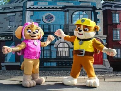 Paw Patrol Figuren Skye und Rubble vor Kulisse
