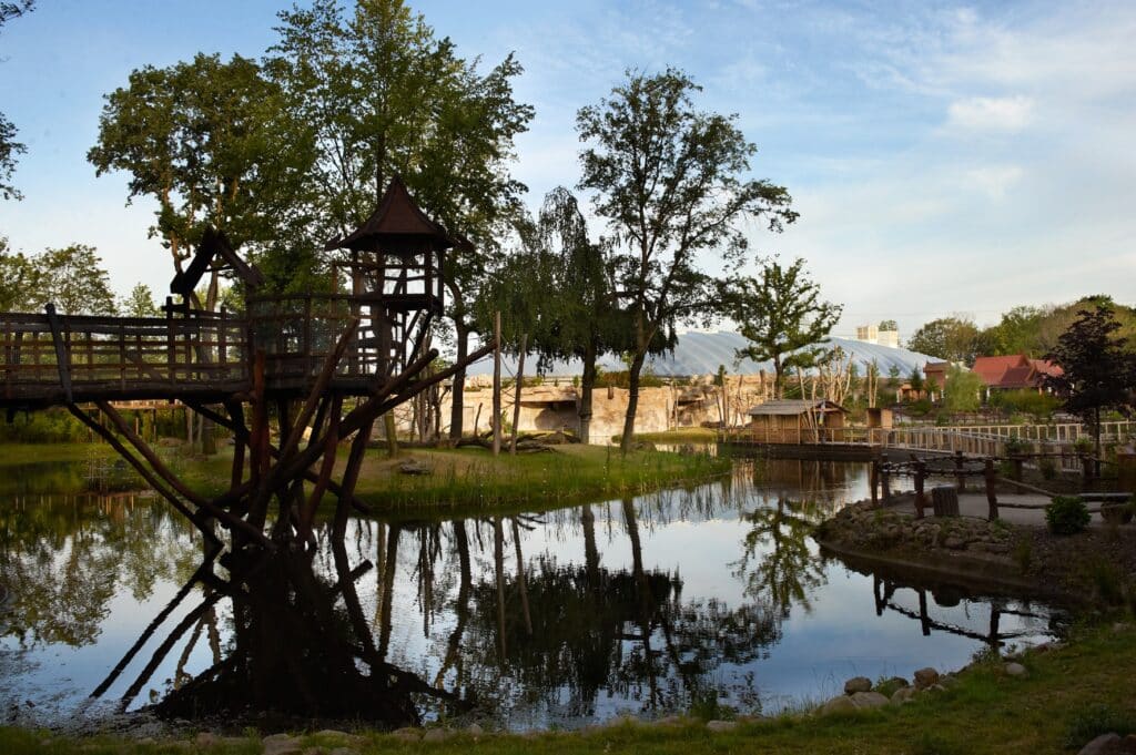 ZOOM Erlebniswelt Bild von Savanne mit Bäumen und Wasserstelle